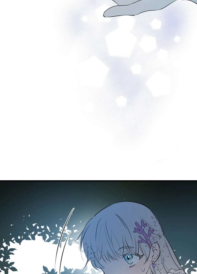 P81