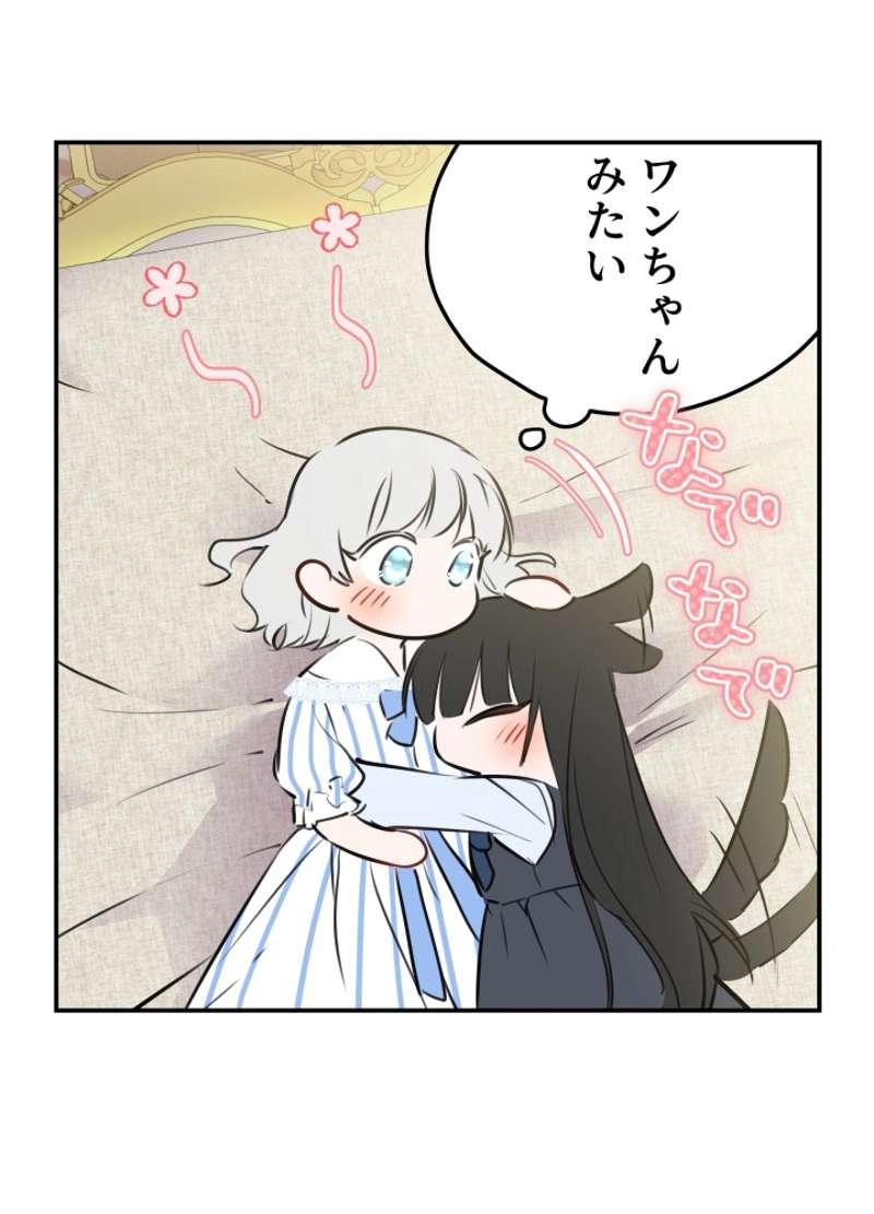 P63