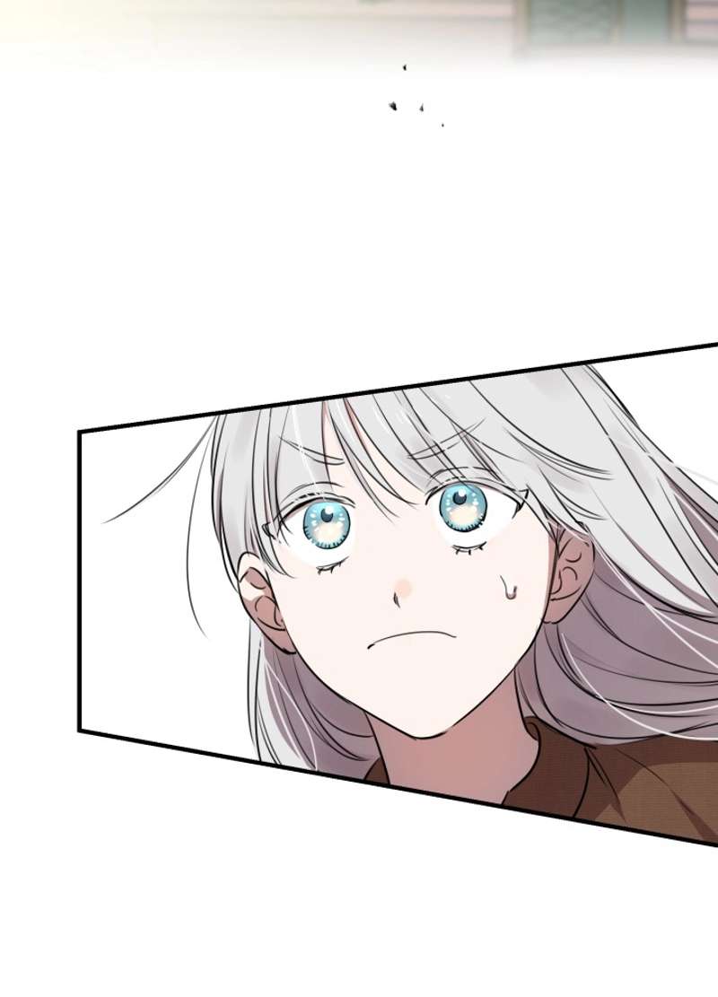 P54
