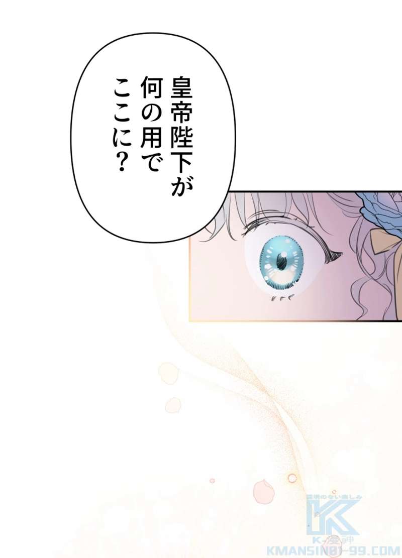 P43