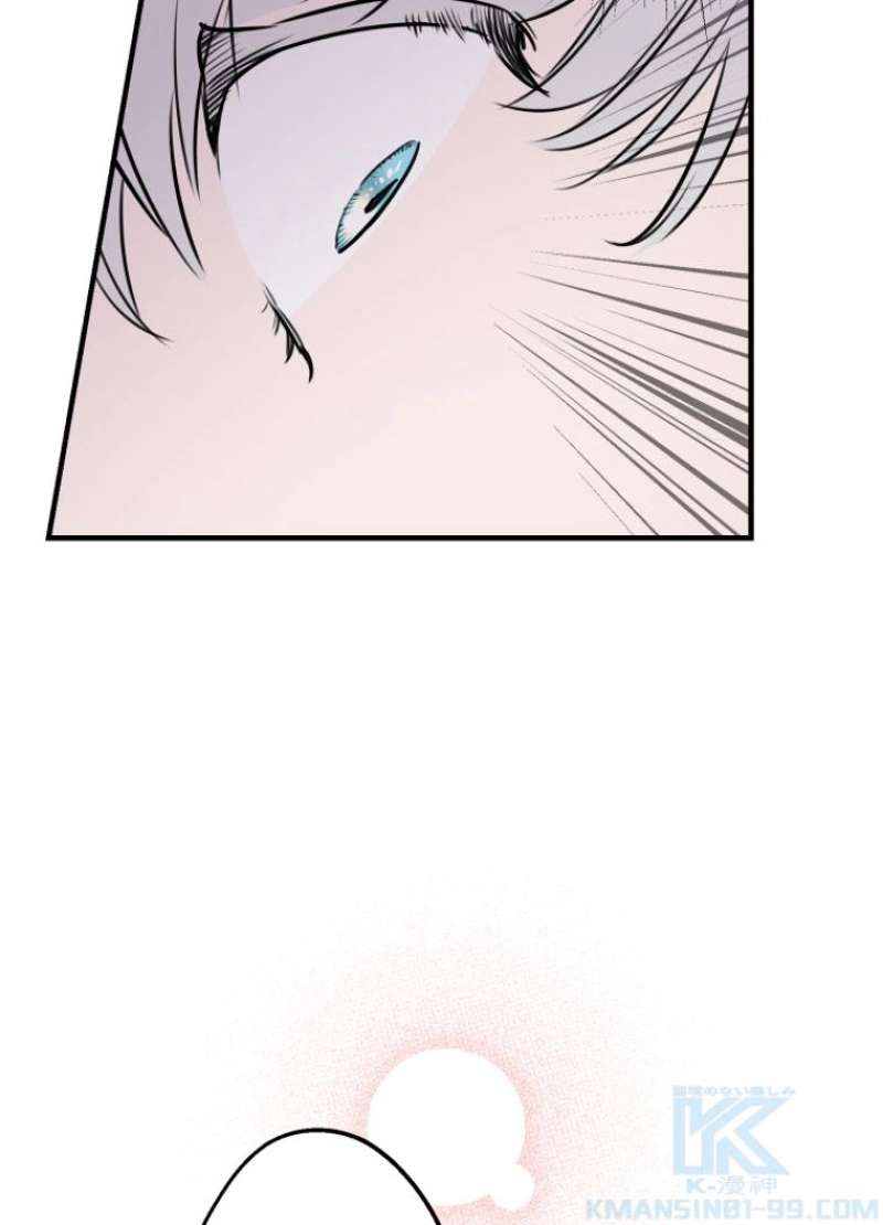 P58