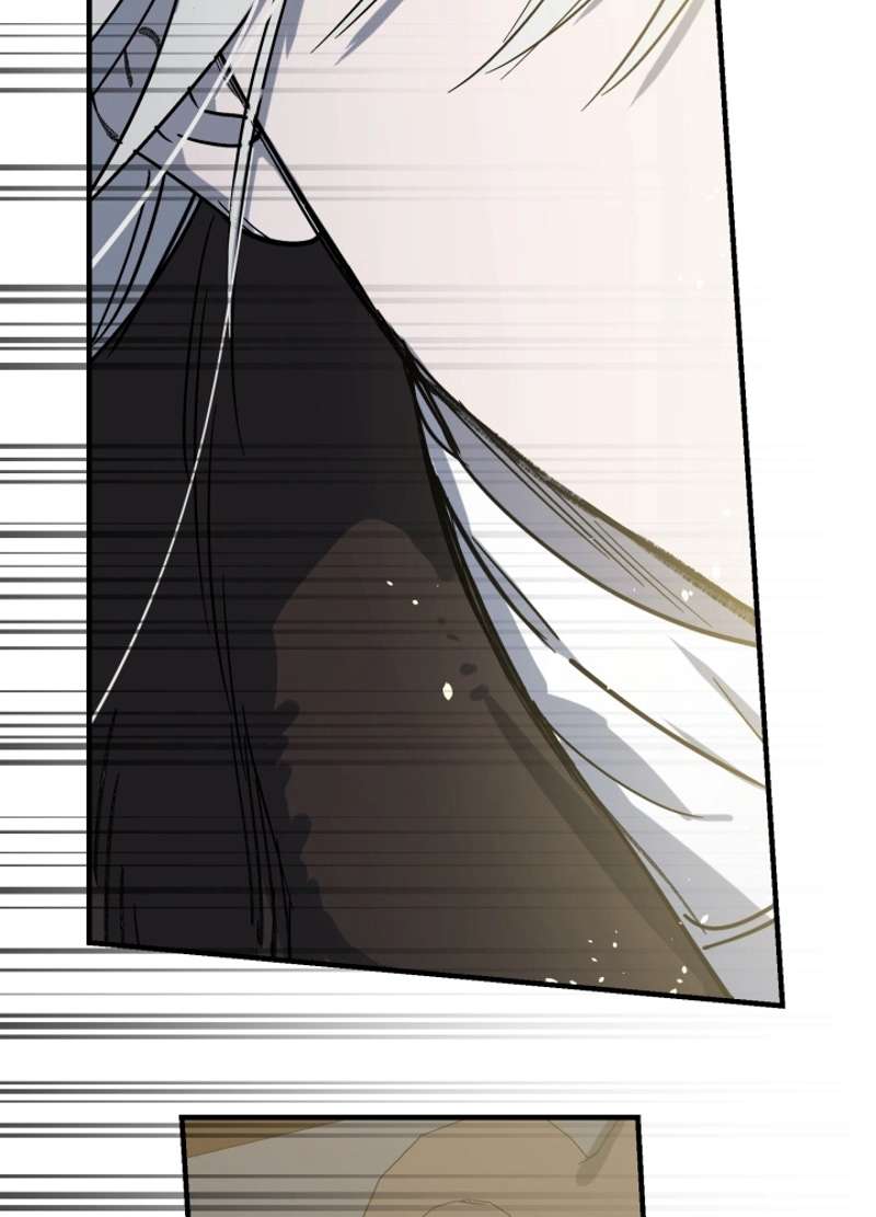 P53