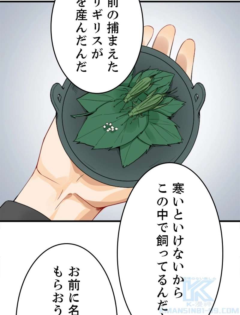 P43