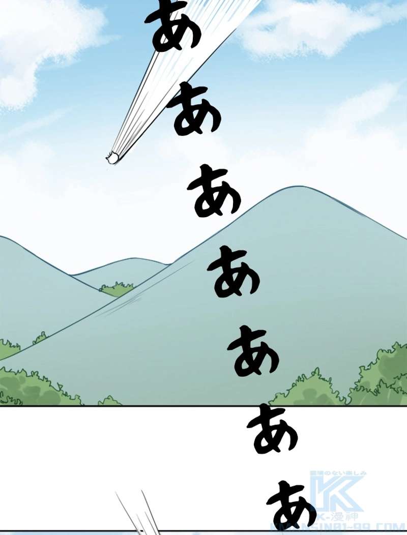 P58