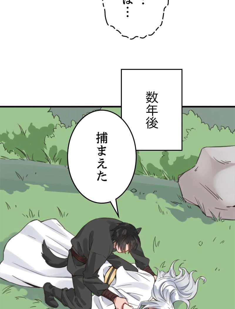 P51