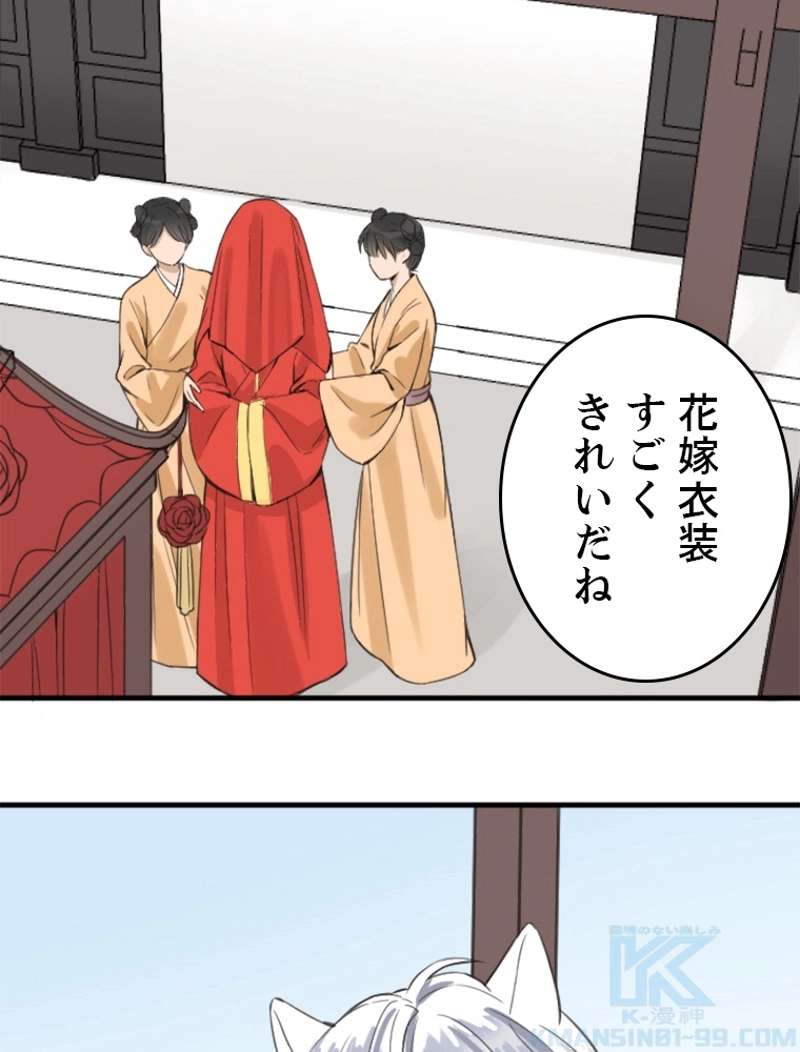 P58