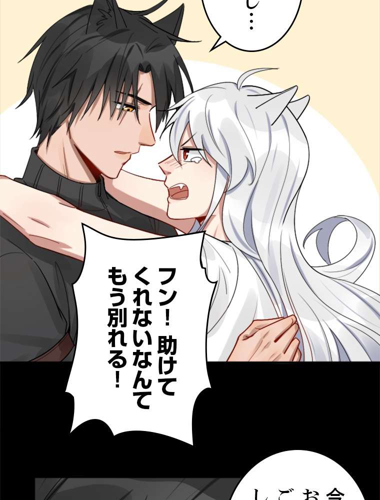 P53