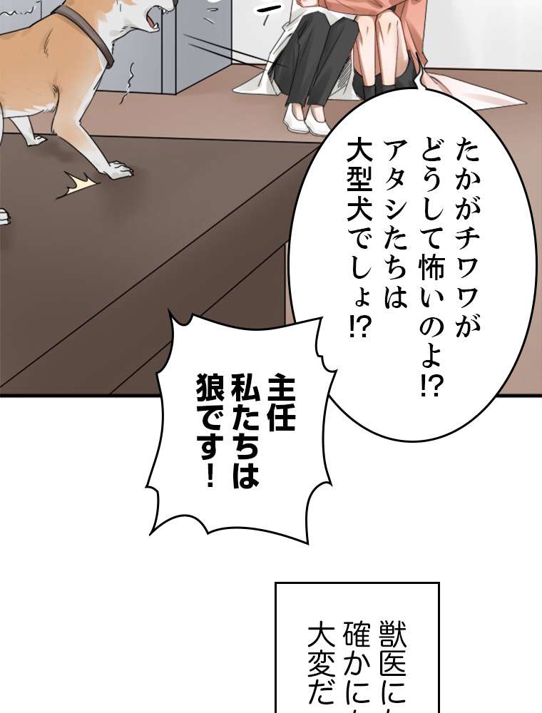 P56