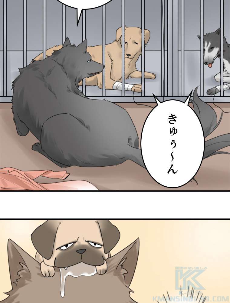 P64