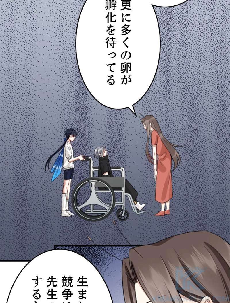 P61