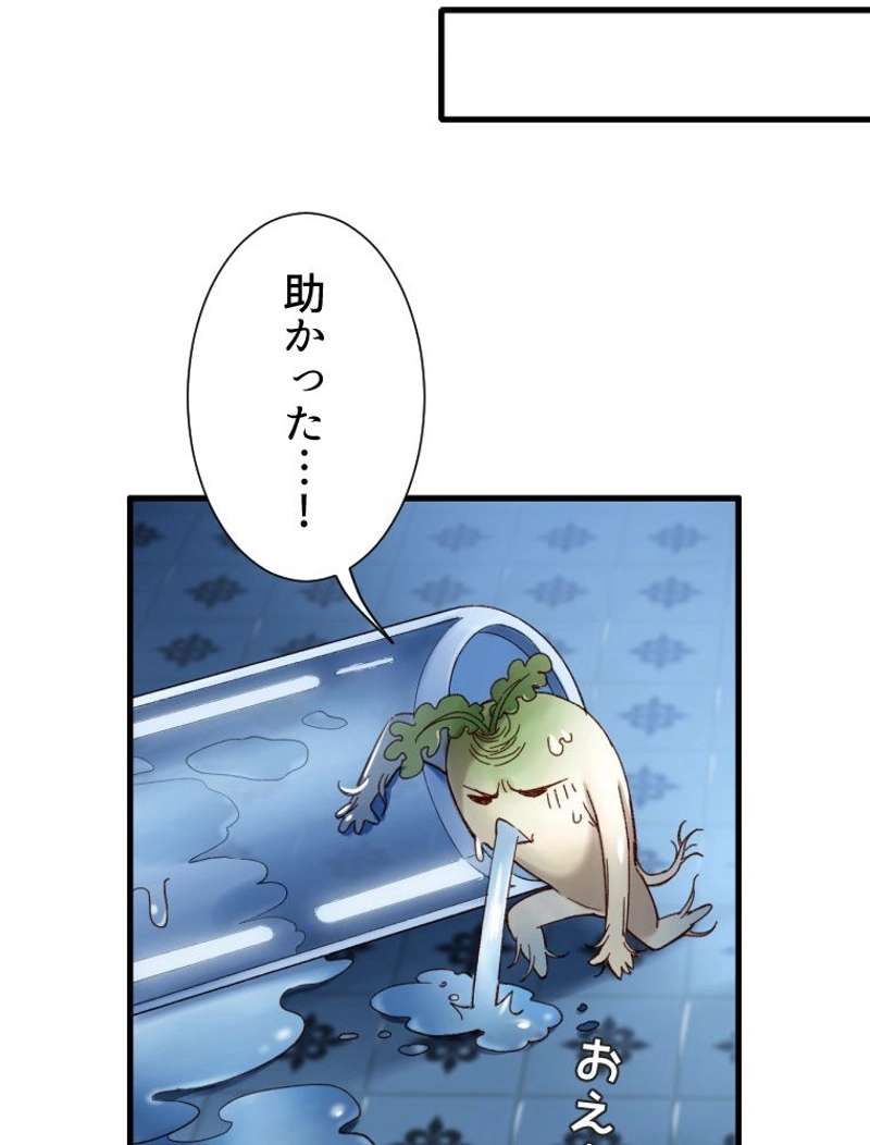 P40