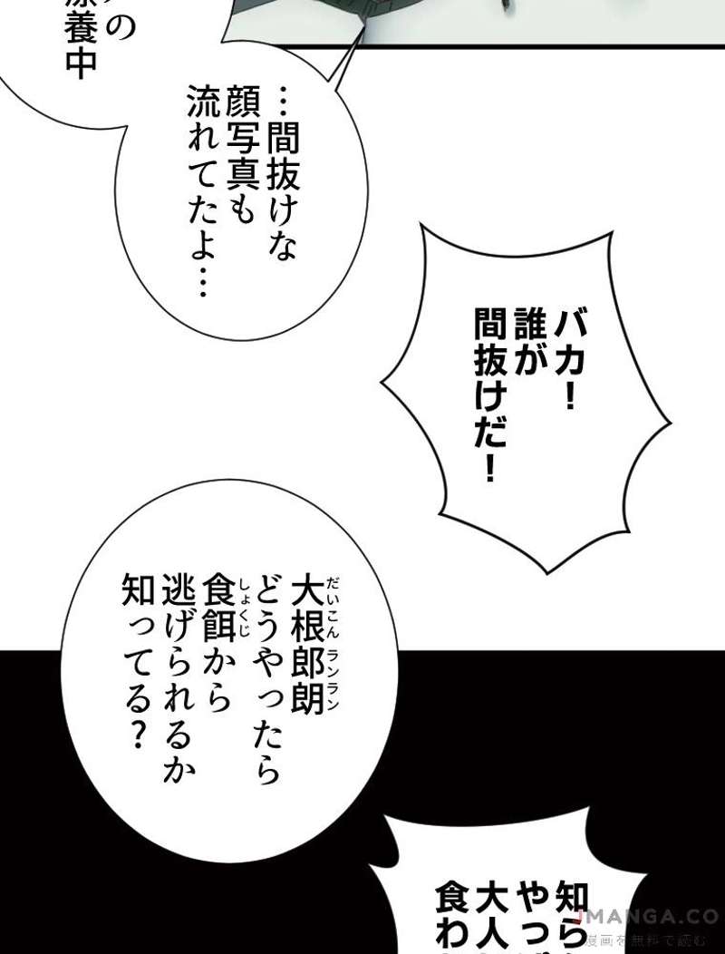 P65