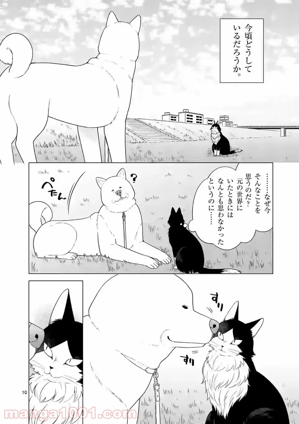 P10