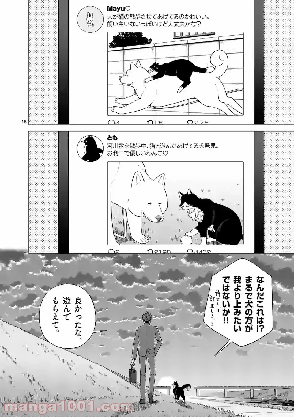 P16