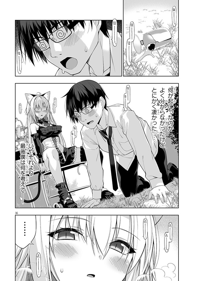 P36