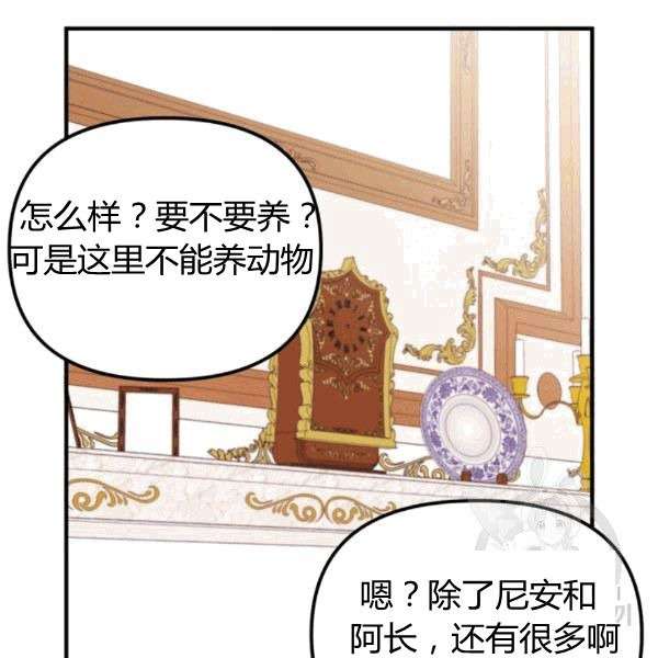 P81