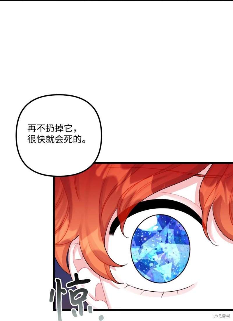 P53