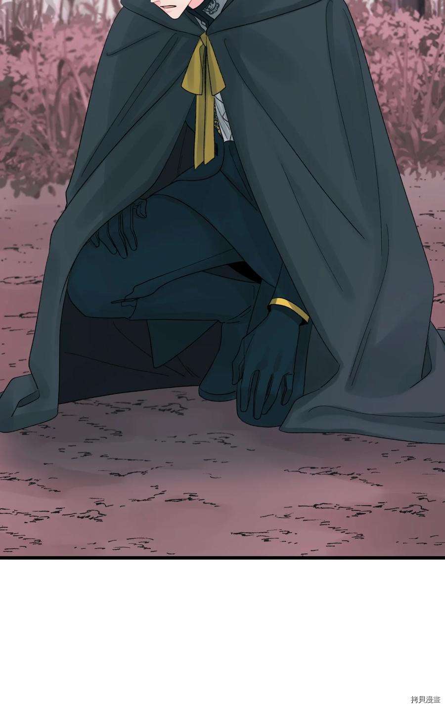 P63