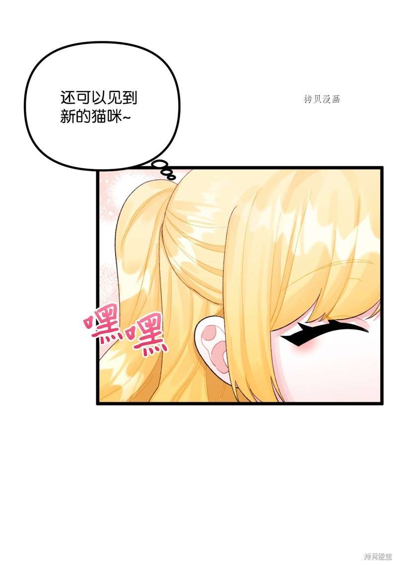 P63