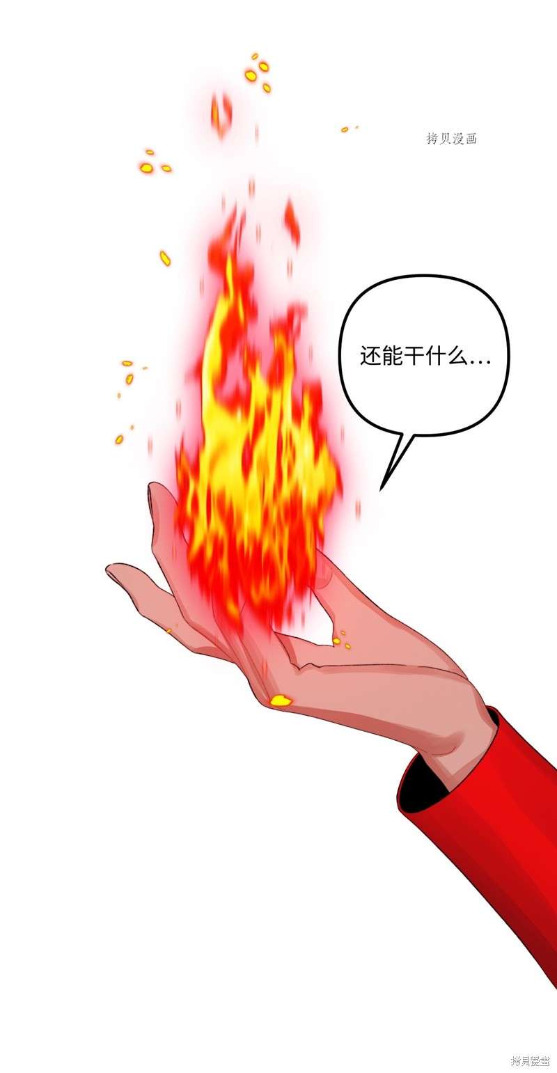 P66