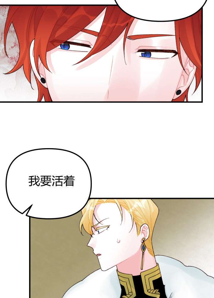 P63