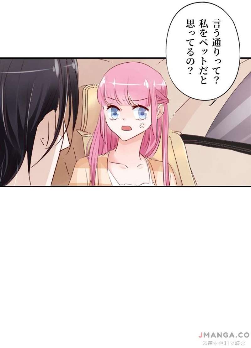 P41