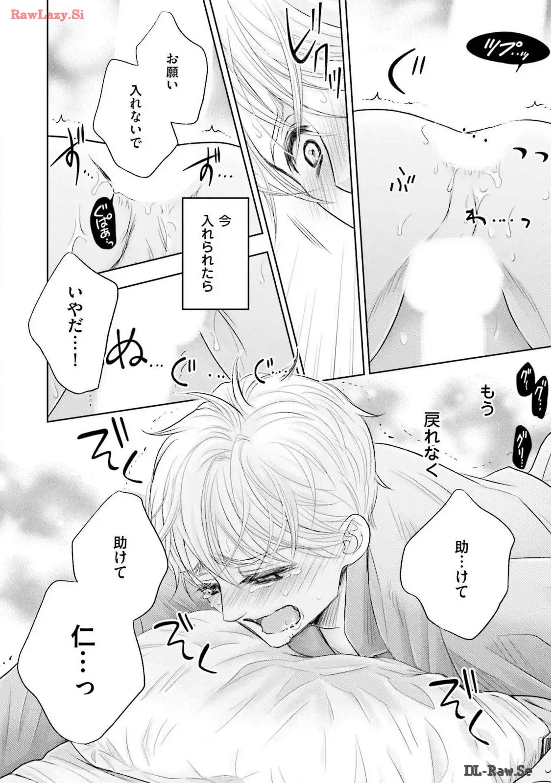 P26