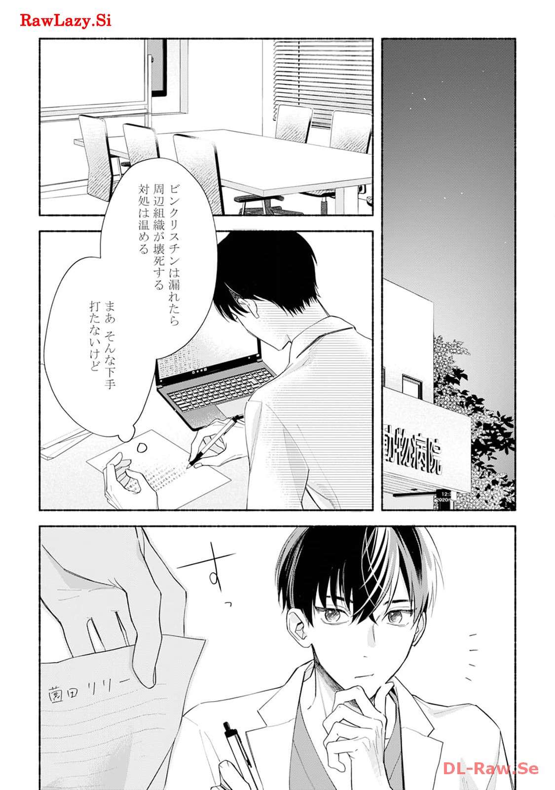 P11