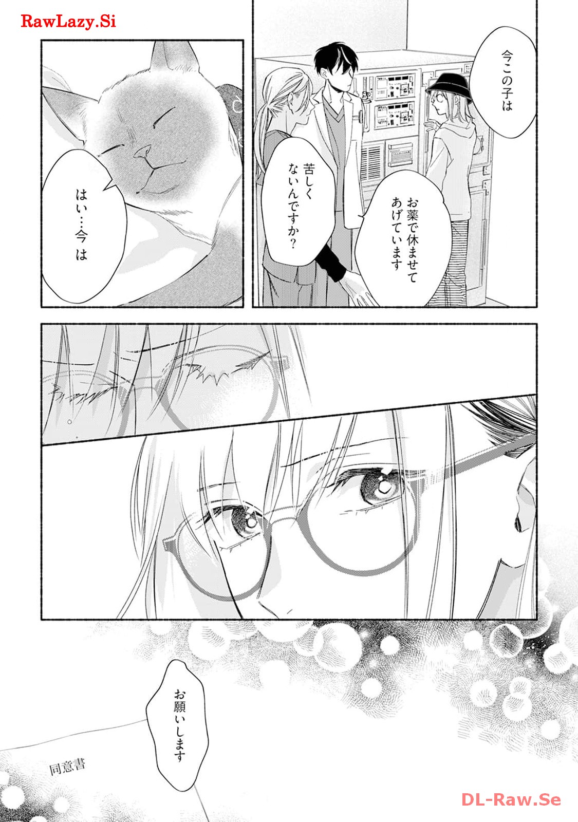 P41