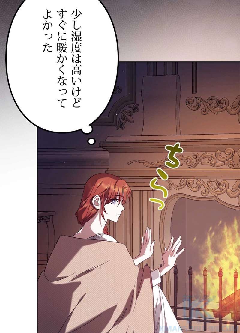 P61