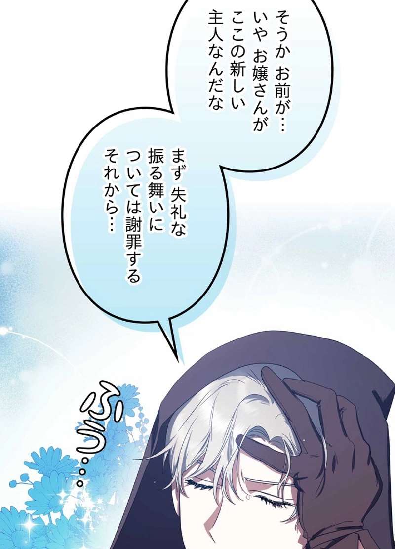 P66