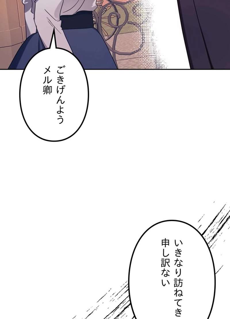 P44