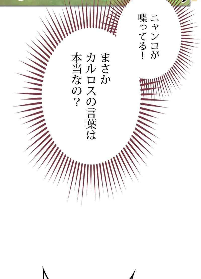 P68
