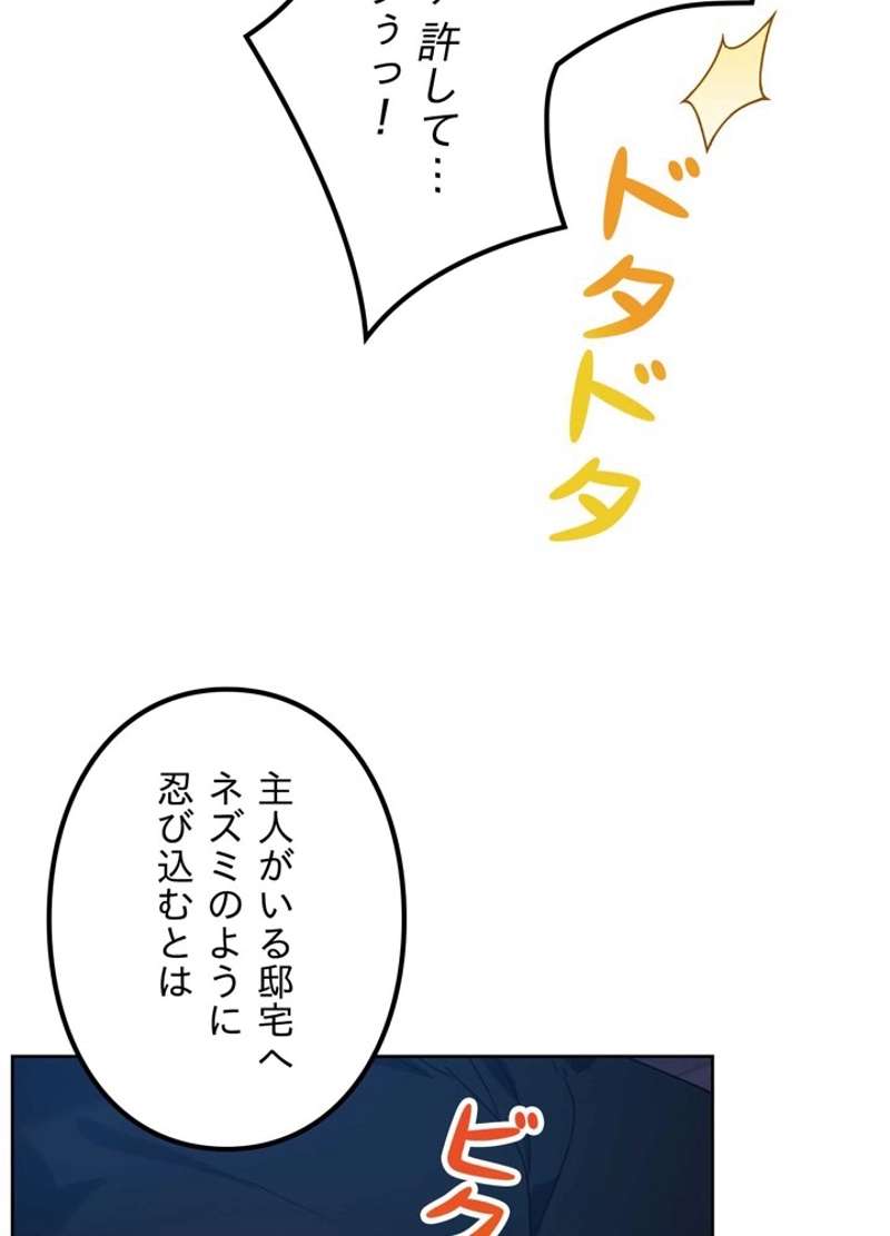 P66