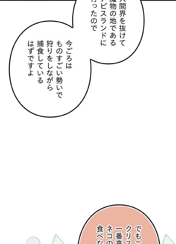 P51