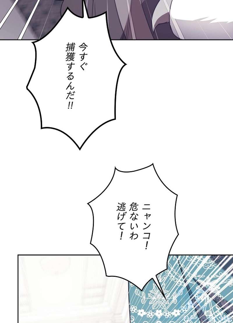 P109