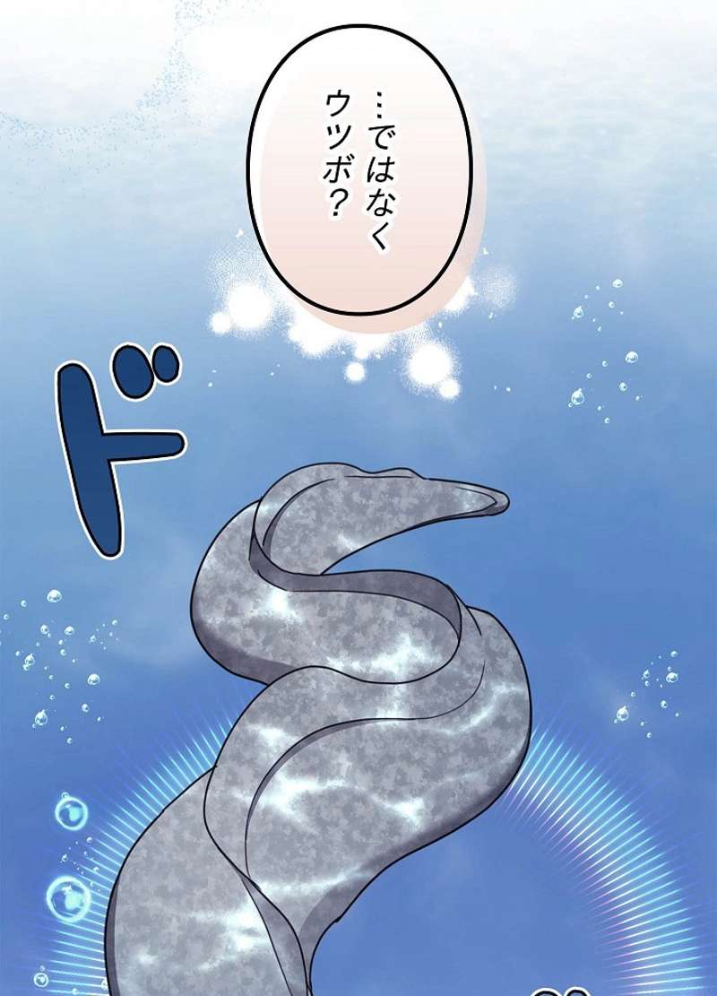 P66