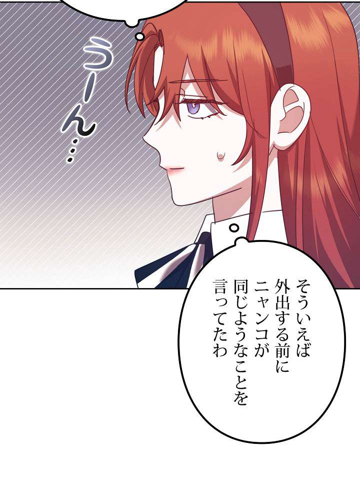 P41