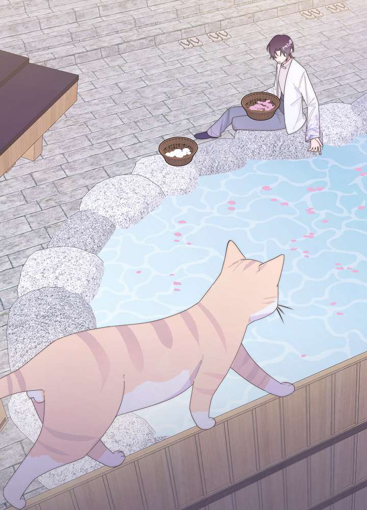 P41