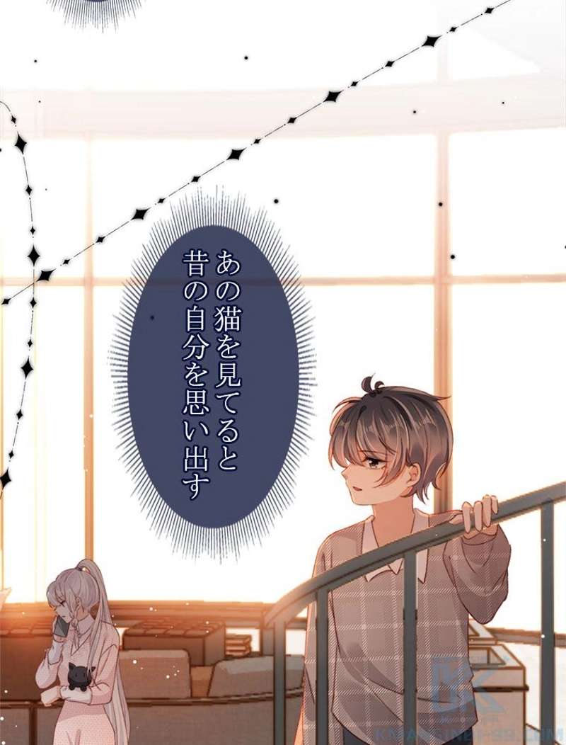 P64