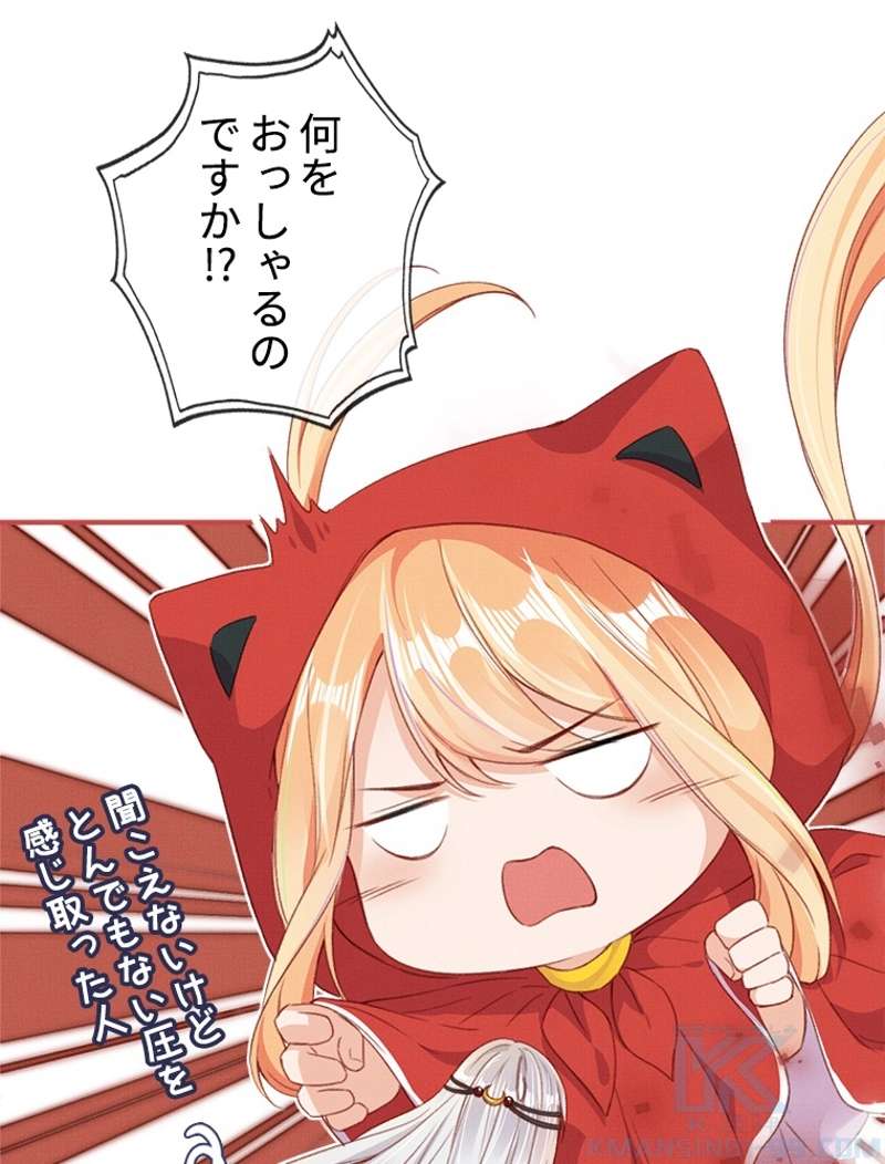 P61