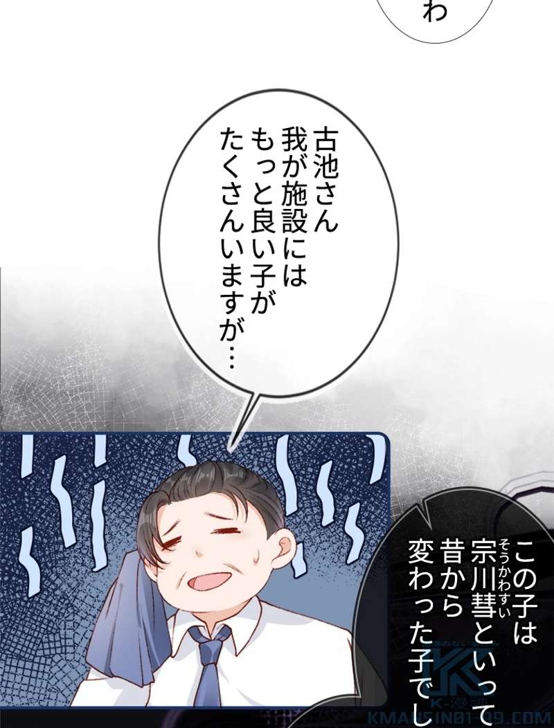 P61
