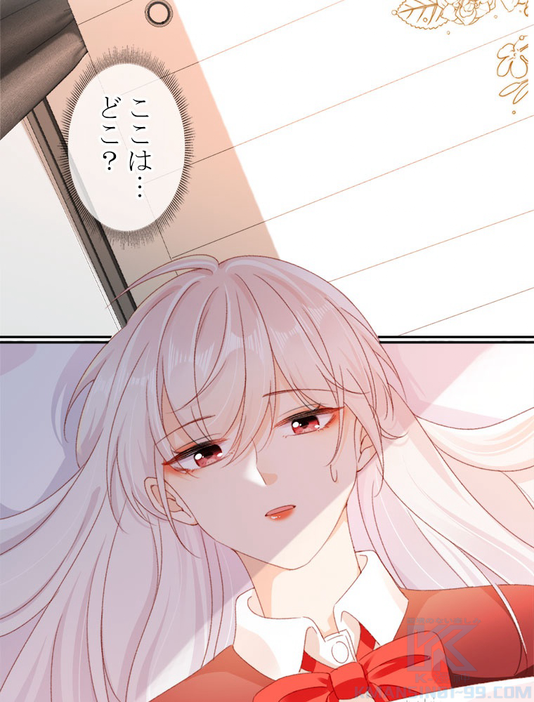 P61