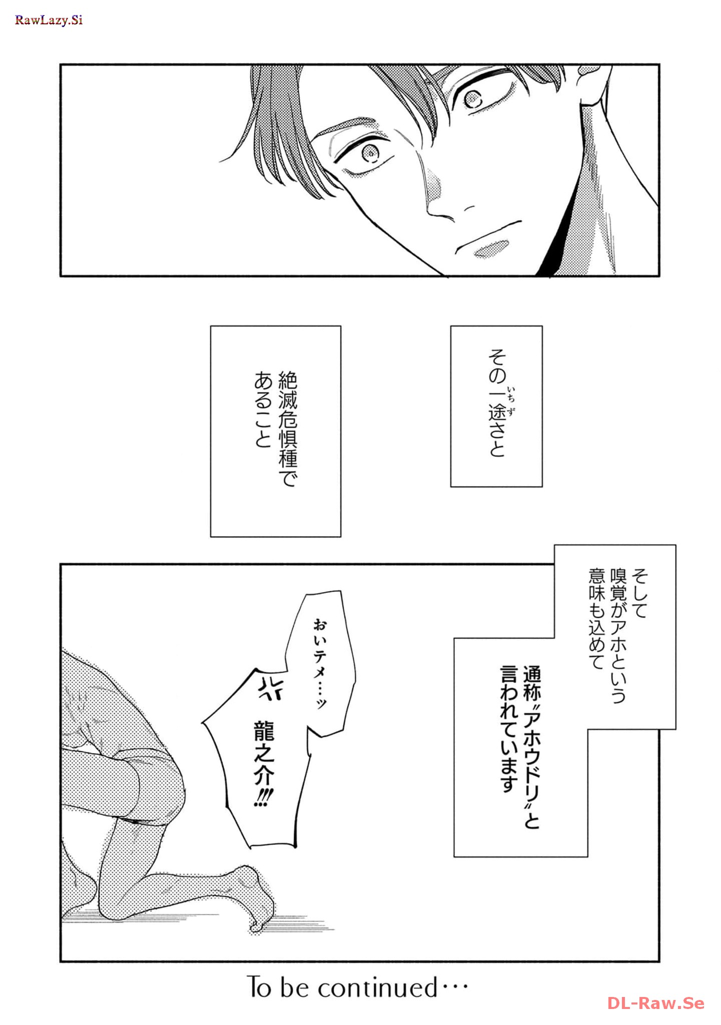 P42