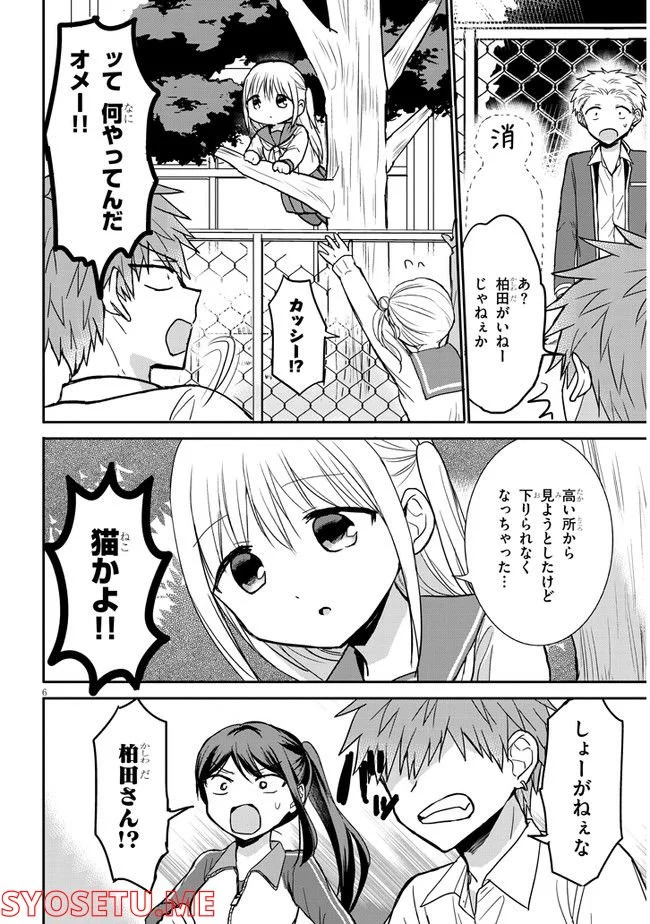 P6