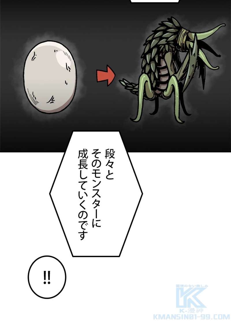 P55