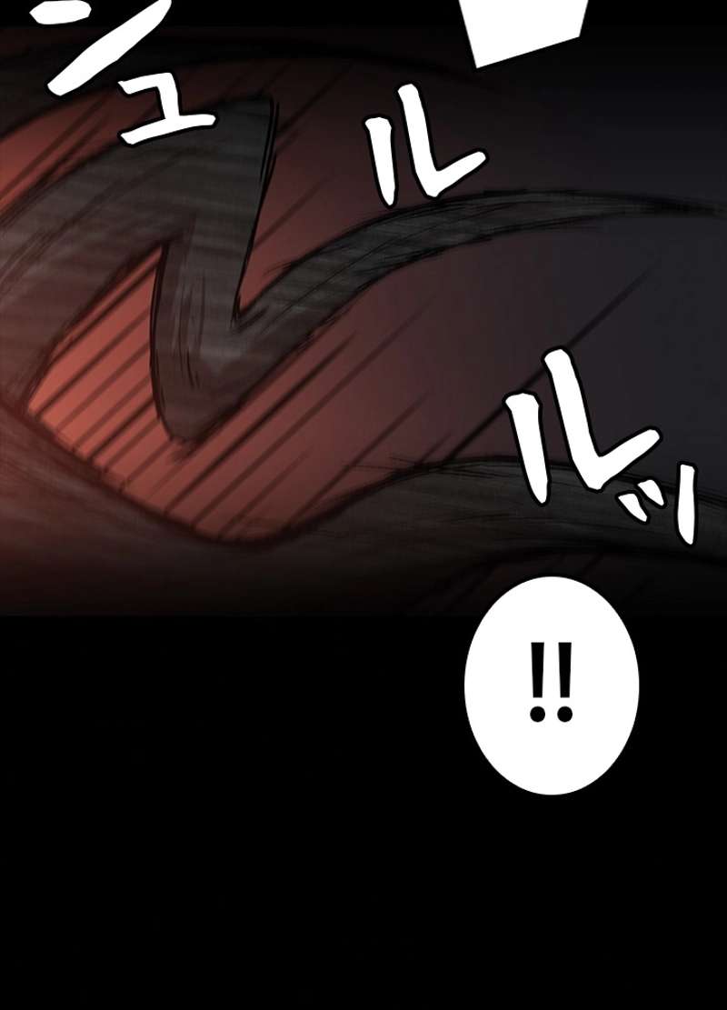 P54