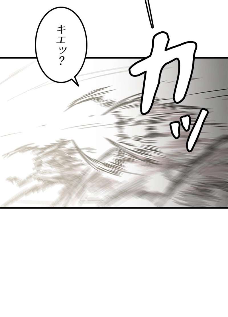 P65