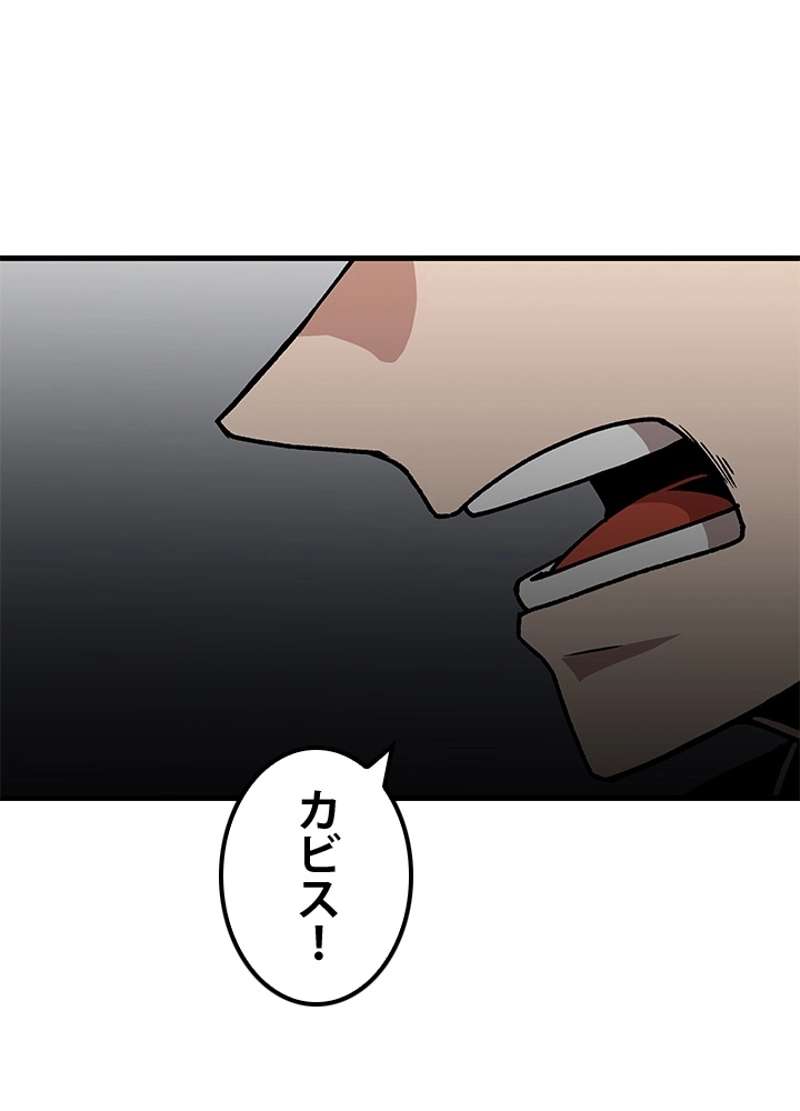 P53