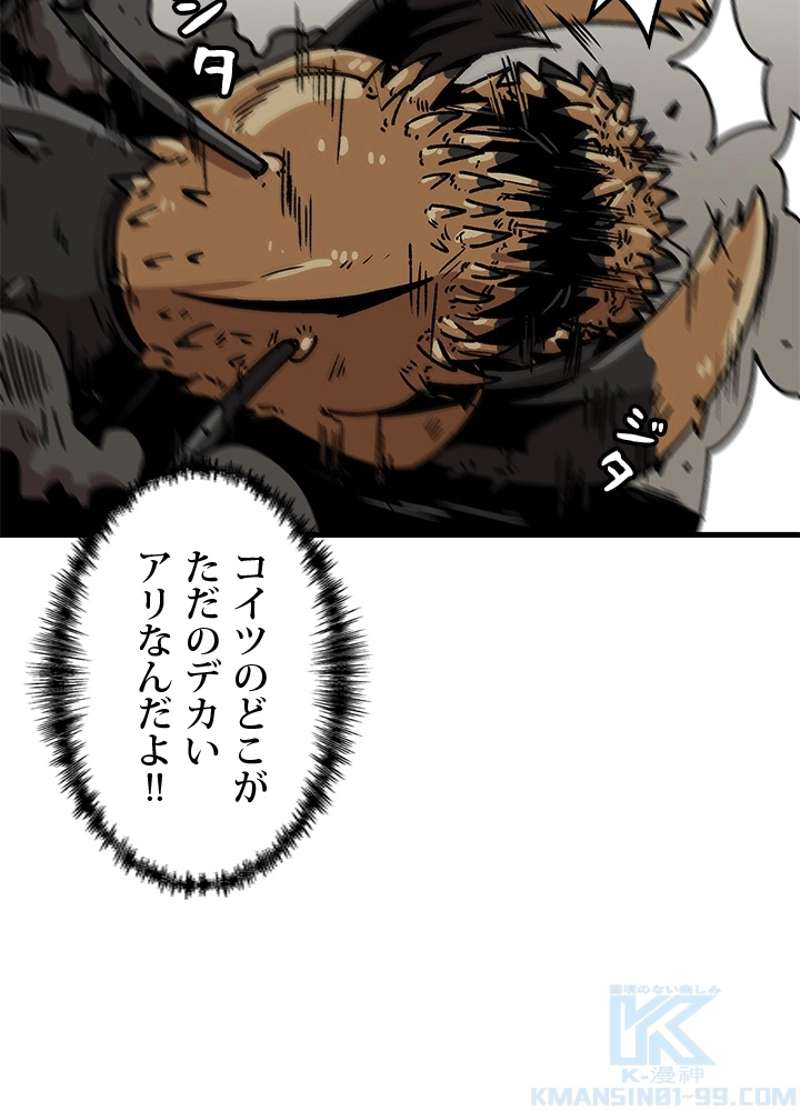 P61